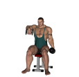 Upright Row - Seated Dumbbell Narrow Stance Alternate